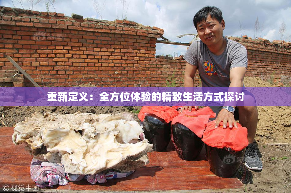 重新定义：全方位体验的精致生活方式探讨