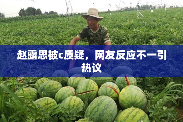 赵露思被c质疑，网友反应不一引热议