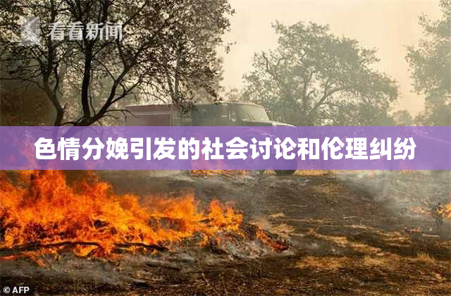 色情分娩引发的社会讨论和伦理纠纷