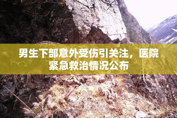 男生下部意外受伤引关注，医院紧急救治情况公布