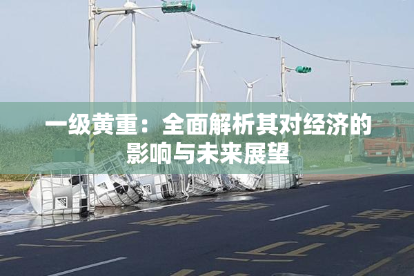 一级黄重：全面解析其对经济的影响与未来展望