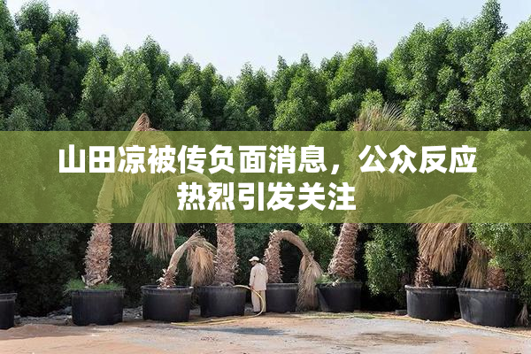 山田凉被传负面消息，公众反应热烈引发关注
