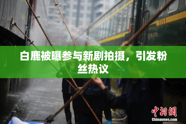 白鹿被曝参与新剧拍摄，引发粉丝热议