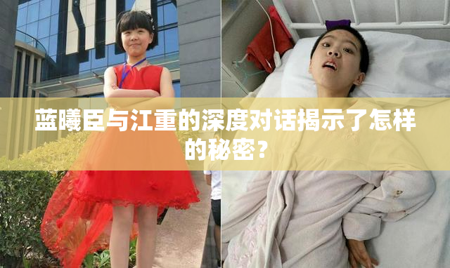 蓝曦臣与江重的深度对话揭示了怎样的秘密？