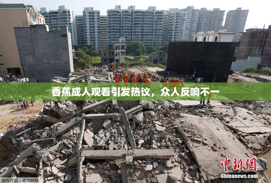 香蕉成人观看引发热议，众人反响不一