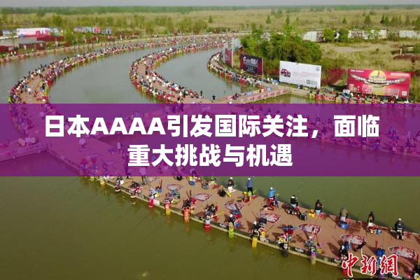 日本AAAA引发国际关注，面临重大挑战与机遇