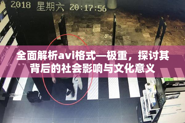 全面解析avi格式―极重，探讨其背后的社会影响与文化意义