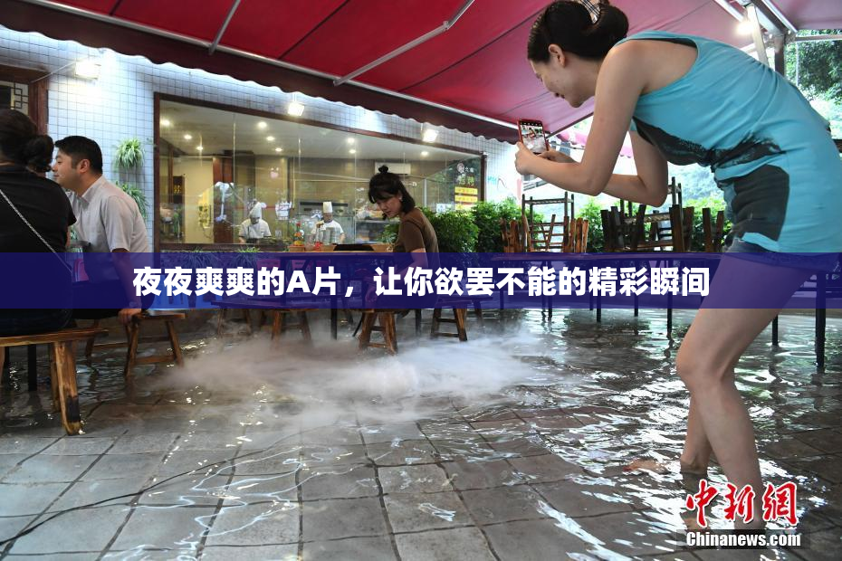 夜夜爽爽的A片，让你欲罢不能的精彩瞬间