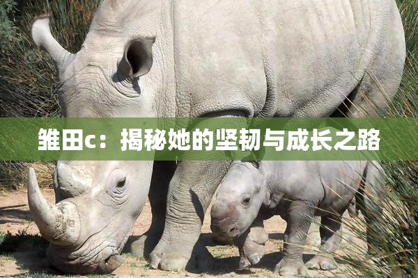 雏田c：揭秘她的坚韧与成长之路