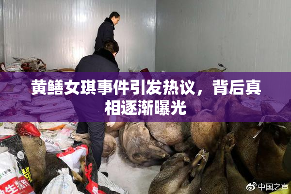 黄鳝女琪事件引发热议，背后真相逐渐曝光
