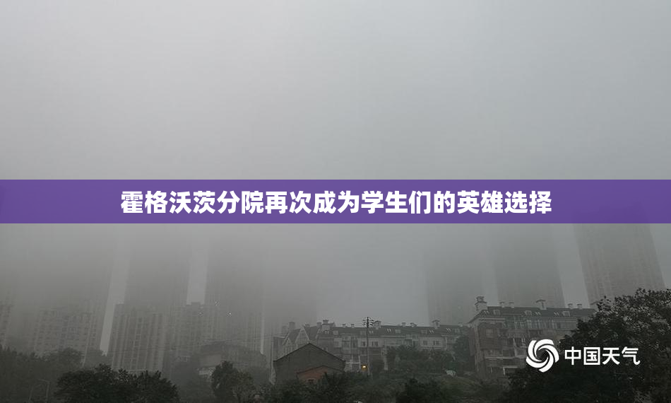 霍格沃茨分院再次成为学生们的英雄选择
