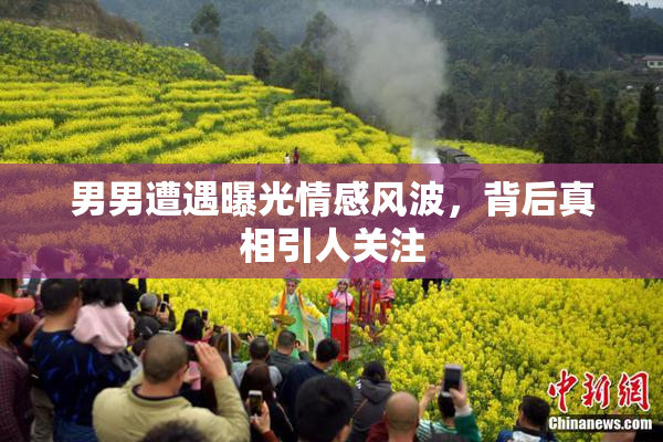 男男遭遇曝光情感风波，背后真相引人关注