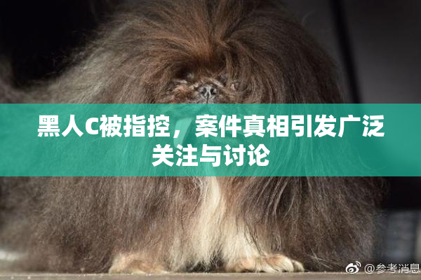 黑人C被指控，案件真相引发广泛关注与讨论