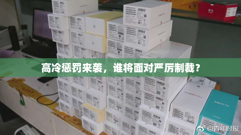 高冷惩罚来袭，谁将面对严厉制裁？