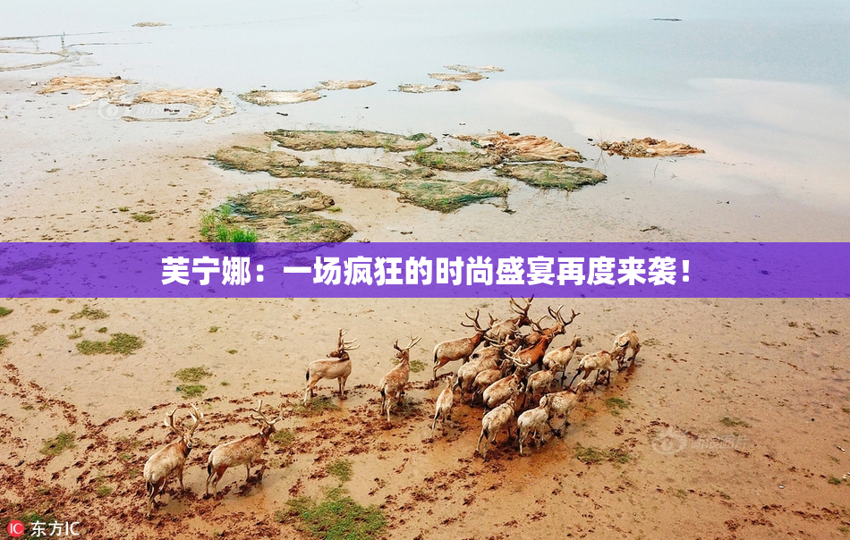芙宁娜：一场疯狂的时尚盛宴再度来袭！