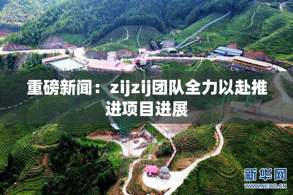 重磅新闻：zijzij团队全力以赴推进项目进展