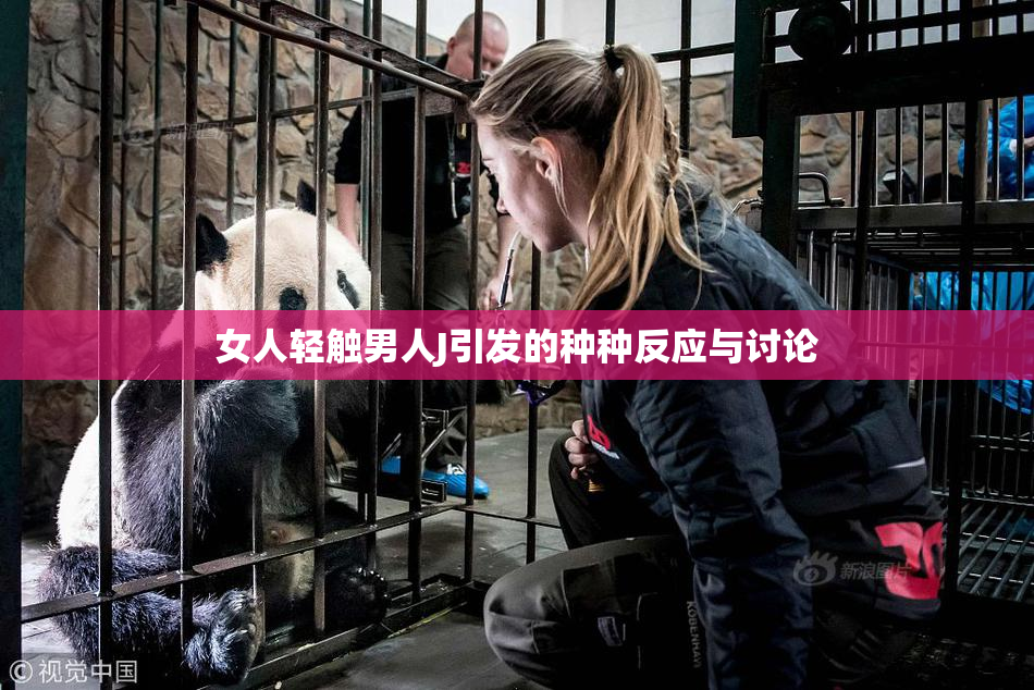 女人轻触男人J引发的种种反应与讨论
