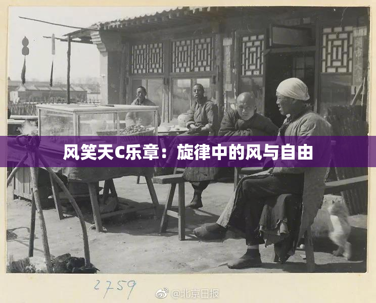 风笑天C乐章：旋律中的风与自由