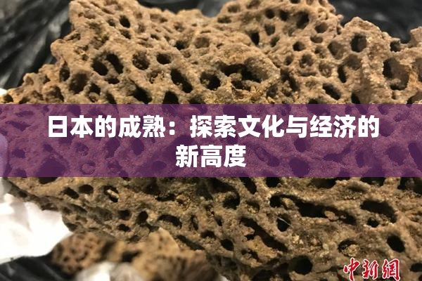日本的成熟：探索文化与经济的新高度