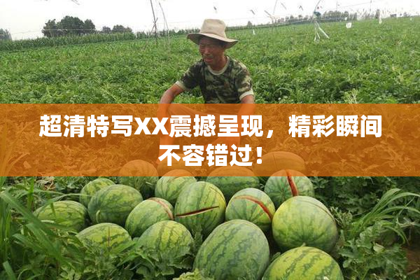 超清特写XX震撼呈现，精彩瞬间不容错过！