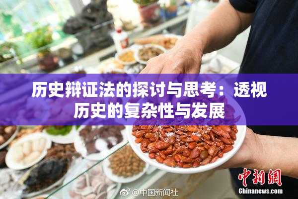 历史辩证法的探讨与思考：透视历史的复杂性与发展