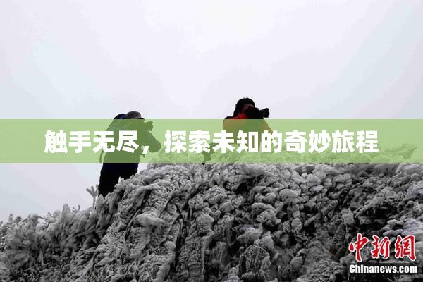 触手无尽，探索未知的奇妙旅程