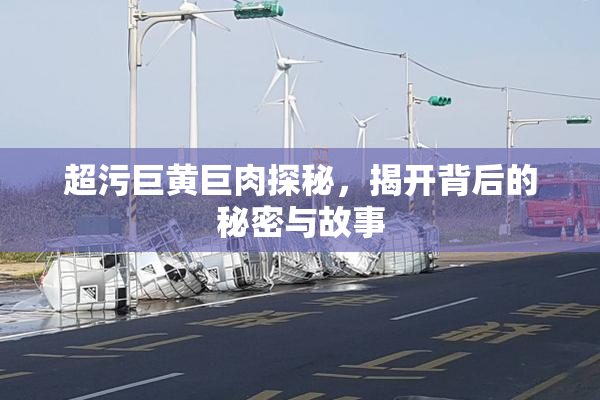 超污巨黄巨肉探秘，揭开背后的秘密与故事