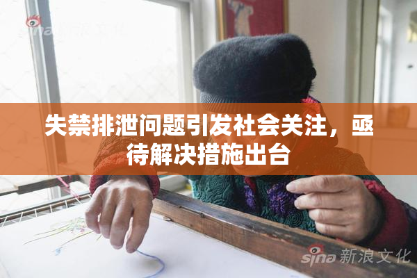 失禁排泄问题引发社会关注，亟待解决措施出台