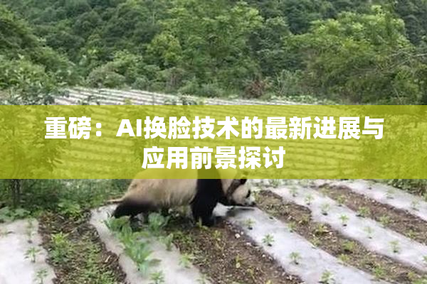 重磅：AI换脸技术的最新进展与应用前景探讨