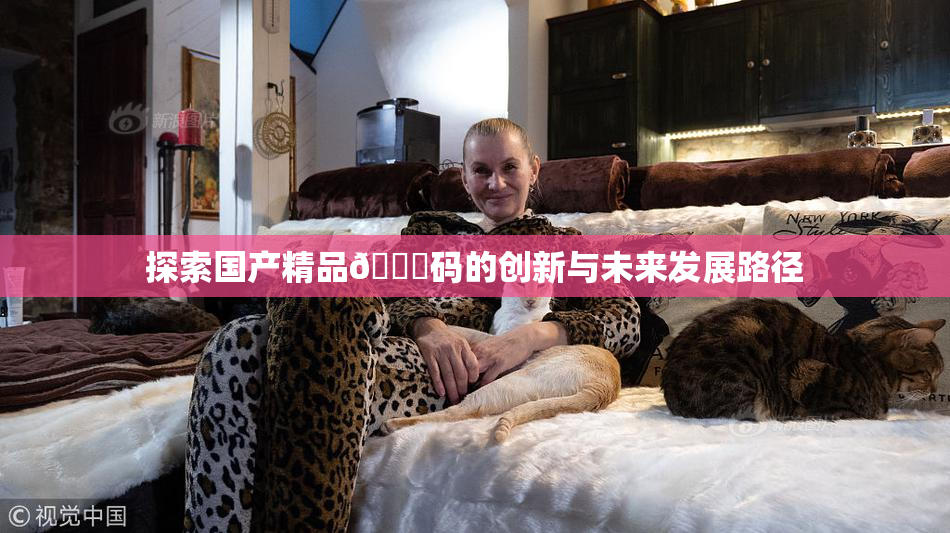 探索国产精品🈚码的创新与未来发展路径