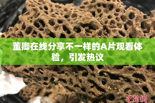 董卿在线分享不一样的A片观看体验，引发热议