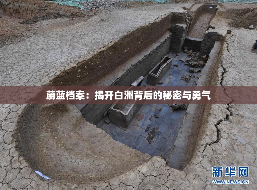 蔚蓝档案：揭开白洲背后的秘密与勇气