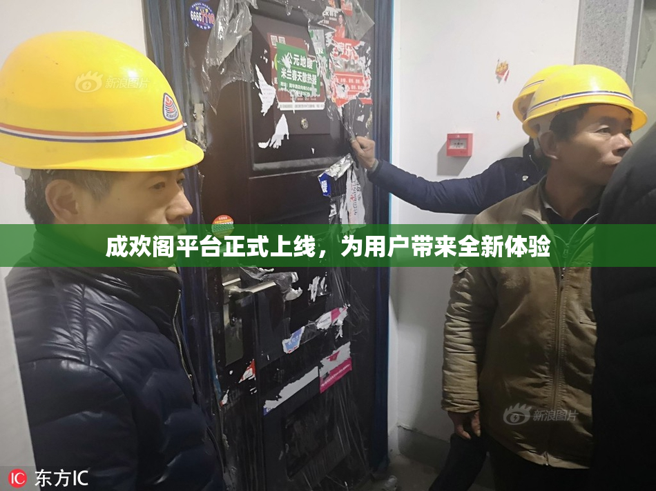 成欢阁平台正式上线，为用户带来全新体验
