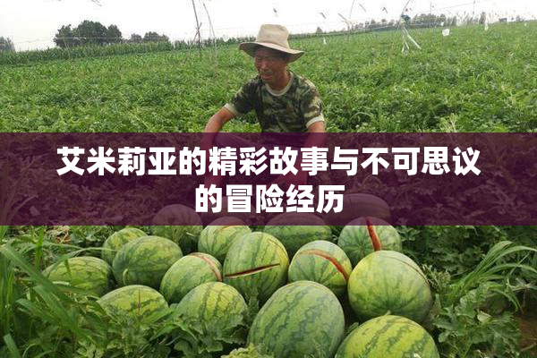 艾米莉亚的精彩故事与不可思议的冒险经历