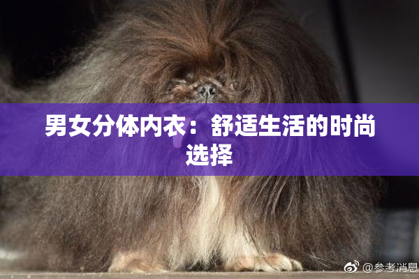 男女分体内衣：舒适生活的时尚选择