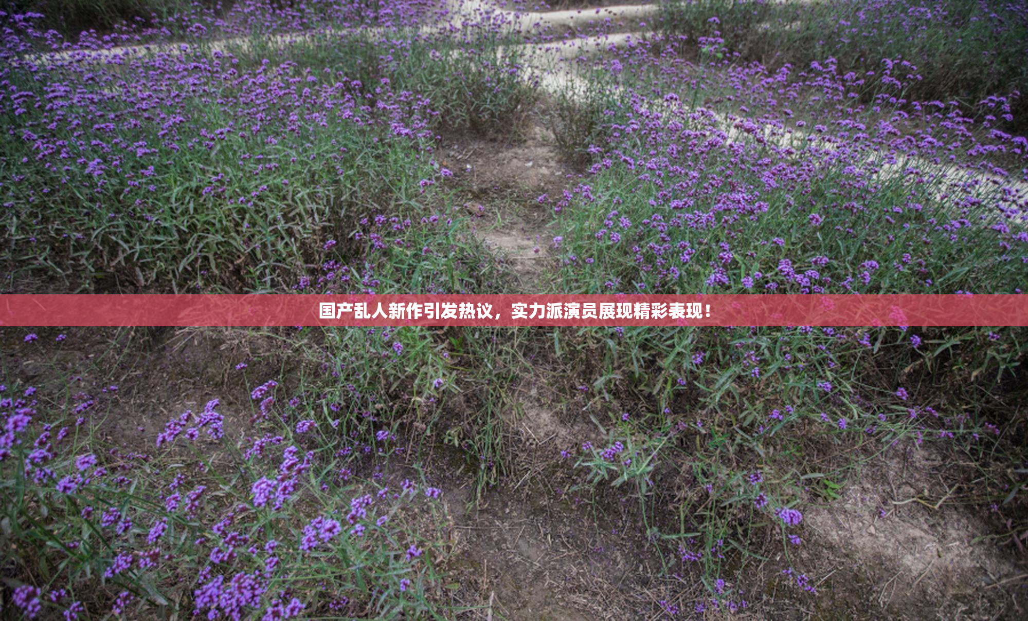 国产乱人新作引发热议，实力派演员展现精彩表现！