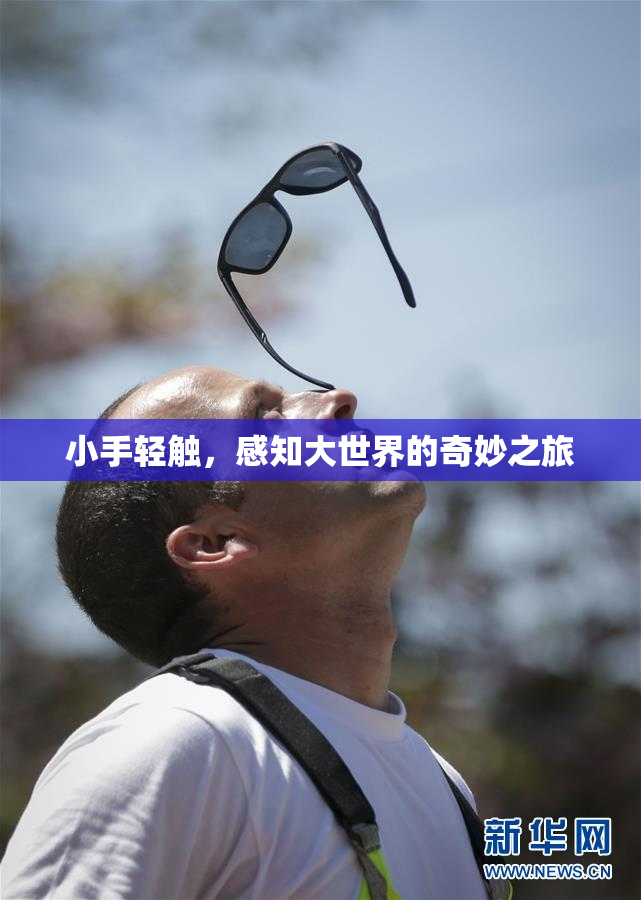 小手轻触，感知大世界的奇妙之旅