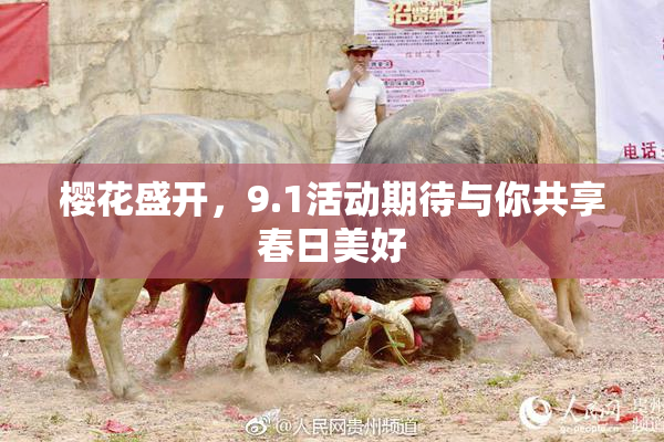 樱花盛开，9.1活动期待与你共享春日美好