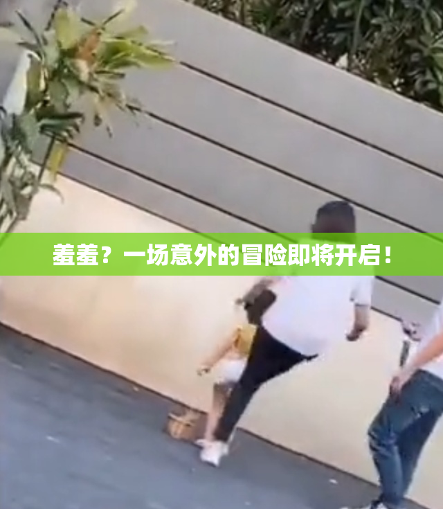 羞羞？一场意外的冒险即将开启！
