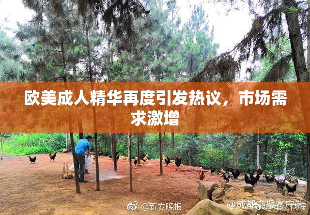 欧美成人精华再度引发热议，市场需求激增