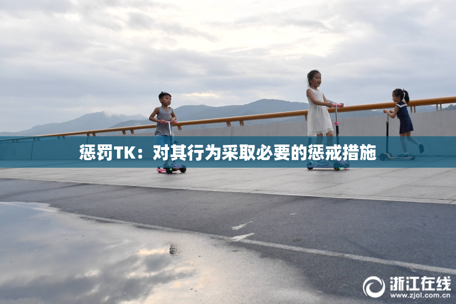 惩罚TK：对其行为采取必要的惩戒措施