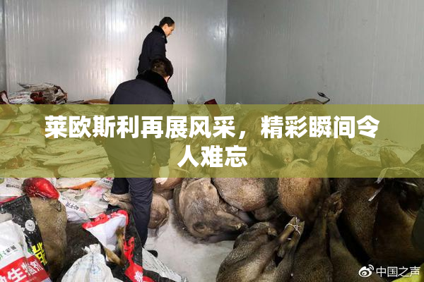 莱欧斯利再展风采，精彩瞬间令人难忘