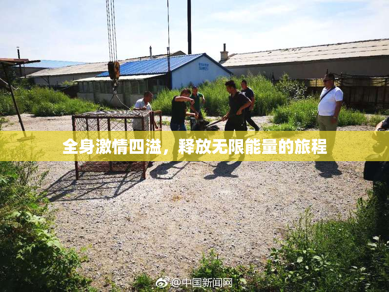 全身激情四溢，释放无限能量的旅程