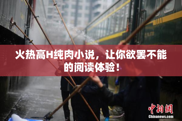 火热高H纯肉小说，让你欲罢不能的阅读体验！