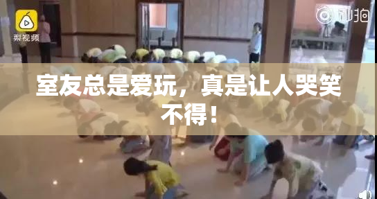 室友总是爱玩，真是让人哭笑不得！