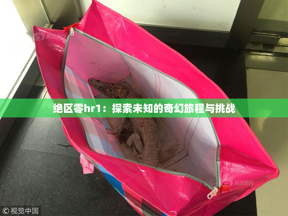 绝区零hr1：探索未知的奇幻旅程与挑战