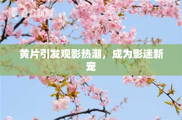 黄片引发观影热潮，成为影迷新宠