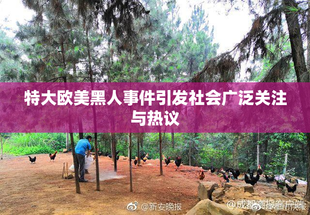 特大欧美黑人事件引发社会广泛关注与热议