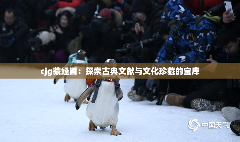 cjg藏经阁：探索古典文献与文化珍藏的宝库