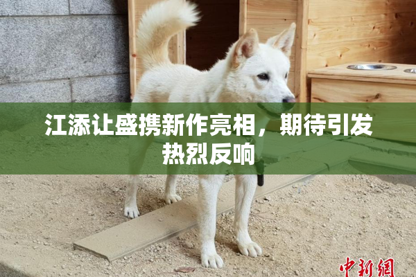 江添让盛携新作亮相，期待引发热烈反响